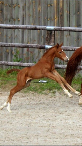 Photo de profil de alainbourdon