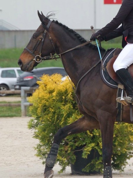 Photo de profil de amanul