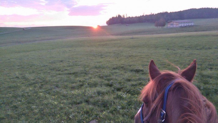 Photo de profil de cowgirlfm