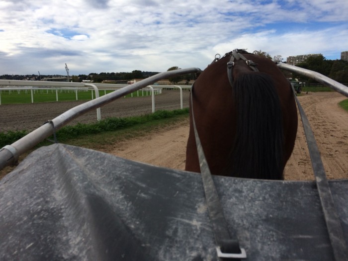 Photo de profil de xouxou06