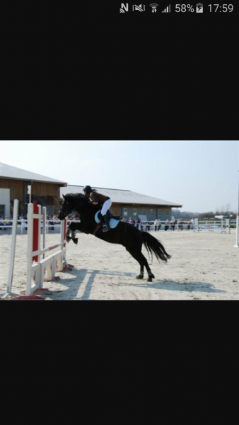 Photo de profil de candice_equit