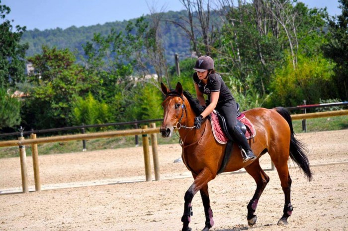 Photo de profil de momohibis