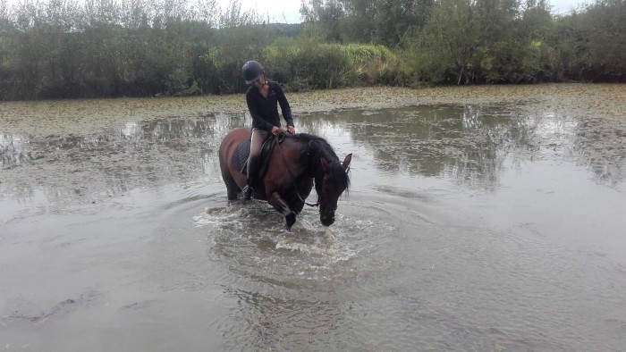 Photo de profil de maryfree