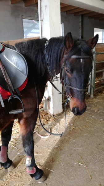 Photo de profil de stellouche