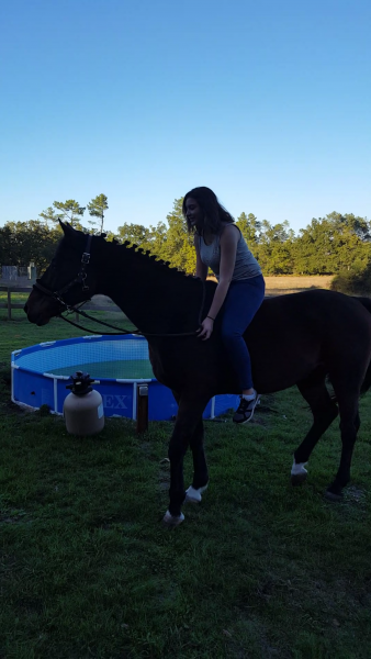 Photo de profil de bricois40