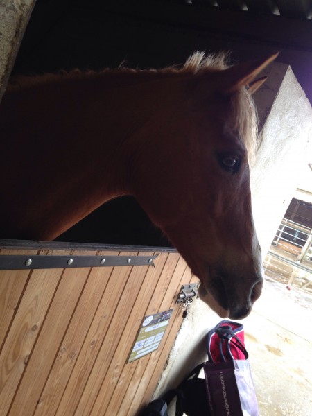 Photo de profil de ladyetrier