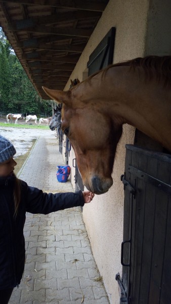 Photo de profil de stella_mdln
