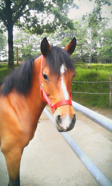 Photo de profil de portbarbe