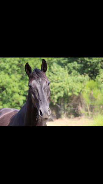 Photo de profil de loreley
