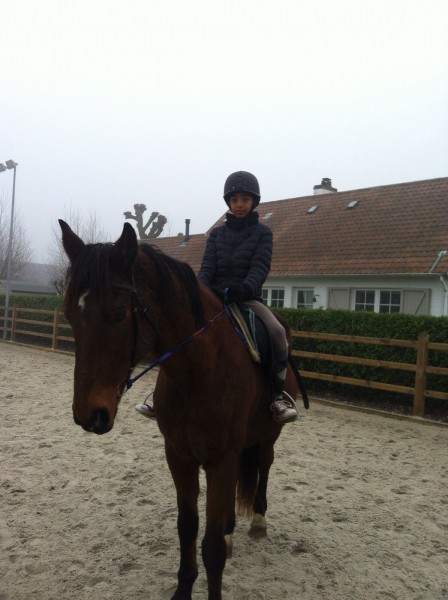 Photo de profil de hugoequitation