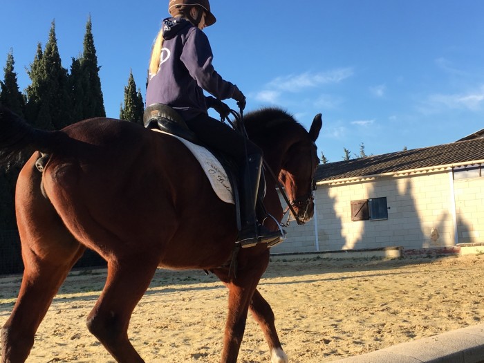 Photo de profil de lisamasson0804