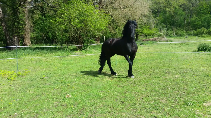 Photo de profil de douwe