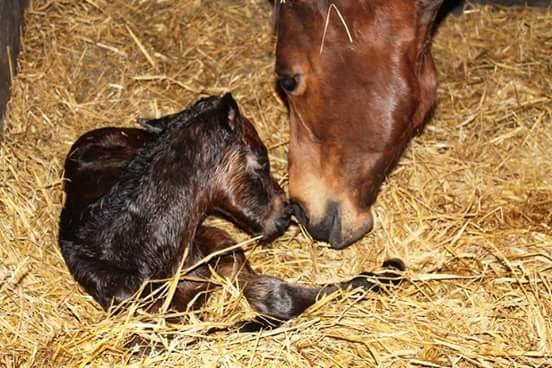 Photo de profil de biboudu89