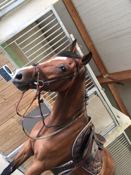 Photo de profil de misterz