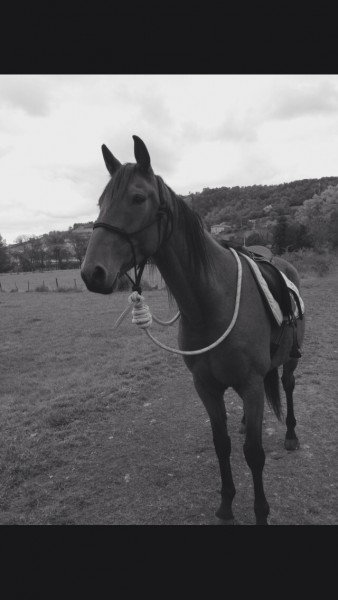 Photo de profil de bibouss