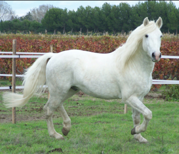 Photo de profil de justinepoulain