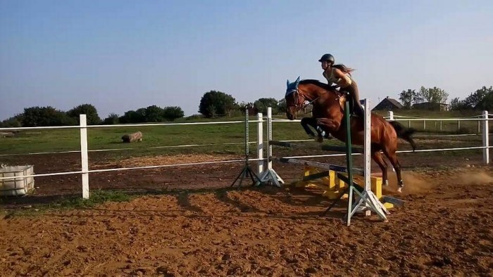 Photo de profil de equite_014