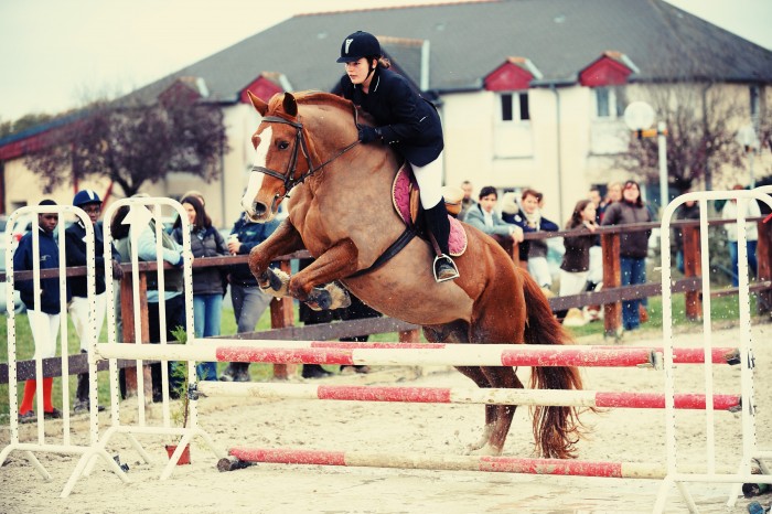 Photo de profil de charlyne37