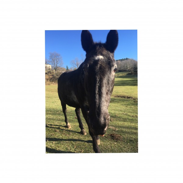 Photo de profil de berthi.napo