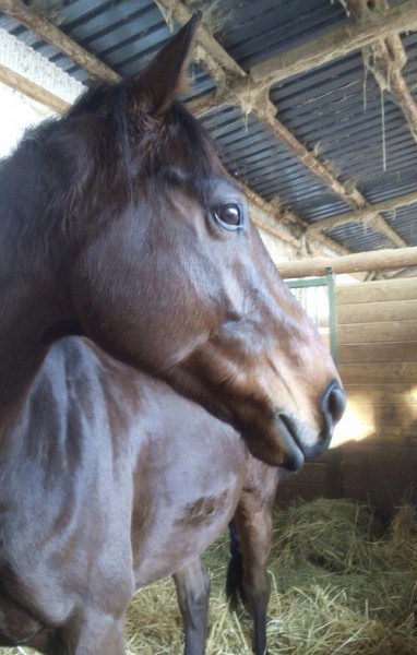 Photo de profil de alisialoveaqua