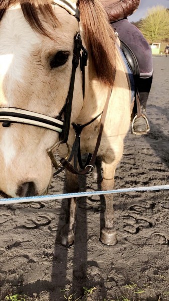 Photo de profil de 14_marina_13