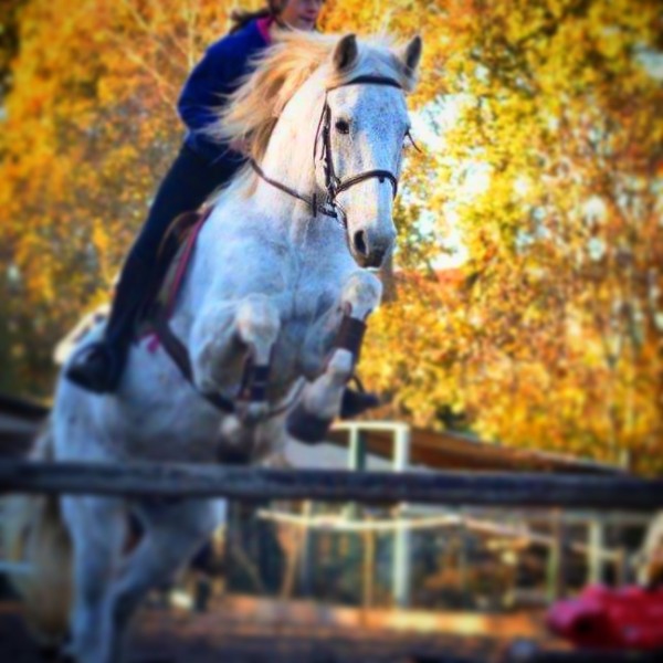 Photo de profil de ines40