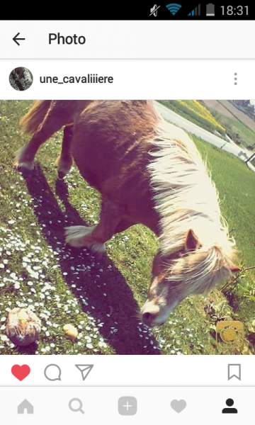 Photo de profil de chloe_ninonn