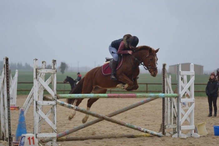 Photo de profil de noae