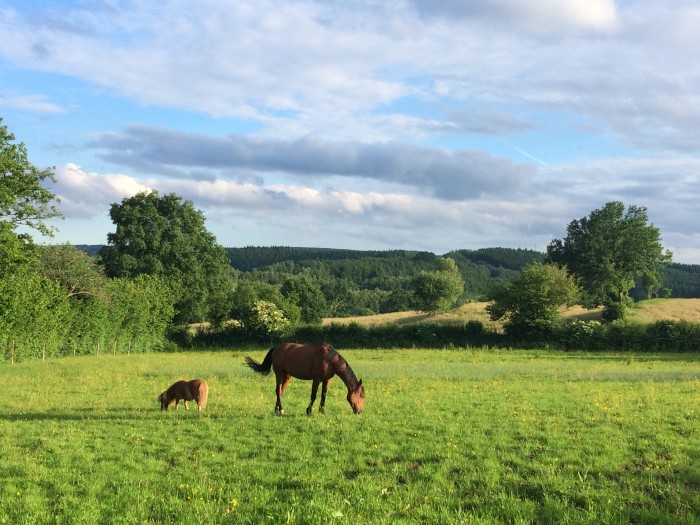 Photo de profil de calyfe