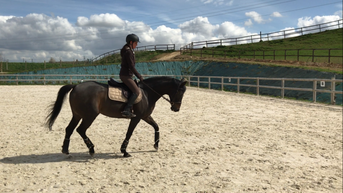 Photo de profil de diane04