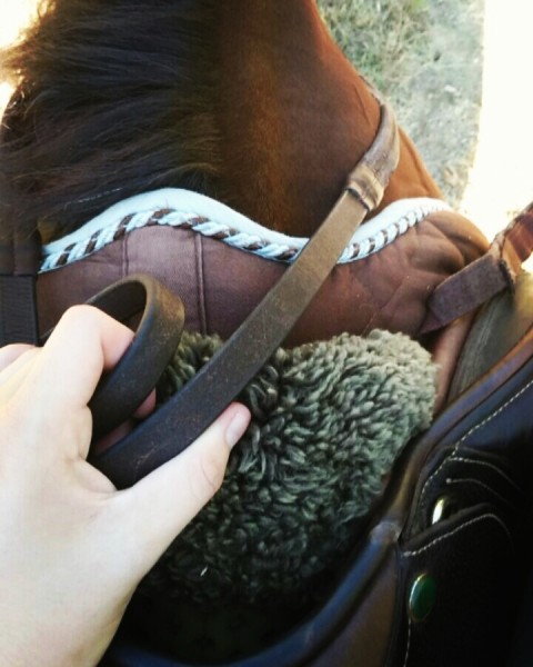 Photo de profil de justine.pct