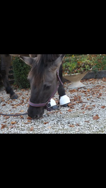 Photo de profil de elise2107