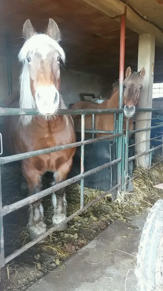 Photo de profil de pichou7