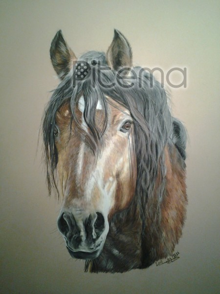 Photo de profil de pitema_pastels