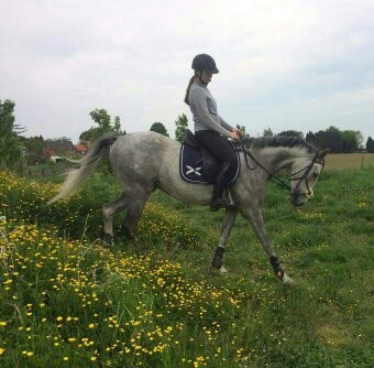 Photo de profil de pony_forever