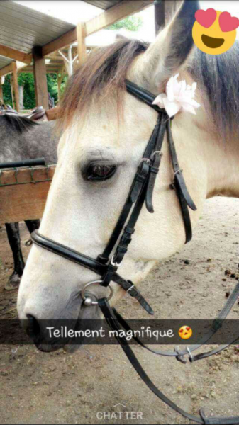 Photo de profil de pourquoi.pas.po