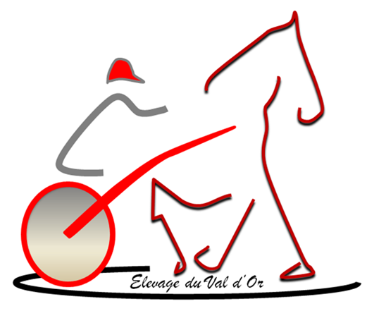 Photo de profil de ptitcheval45