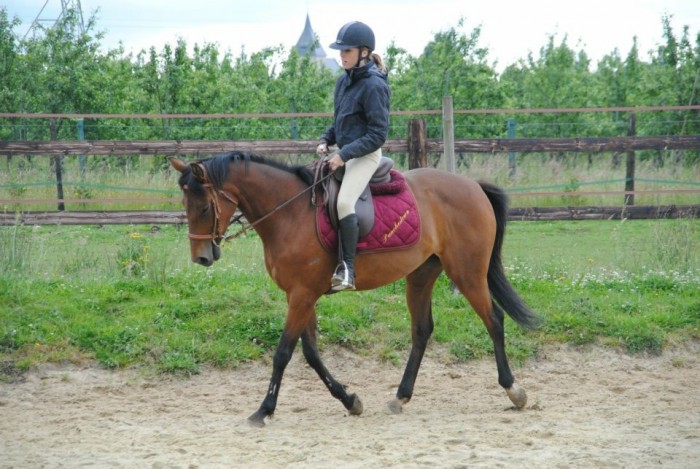 Photo de profil de punchchestown