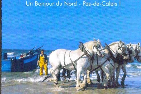 Photo de profil de purpan31