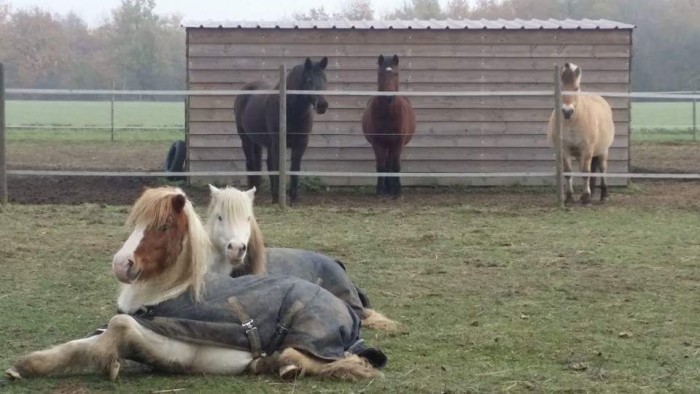 Photo de profil de qrtss