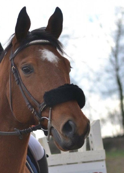 Photo de profil de rabich42