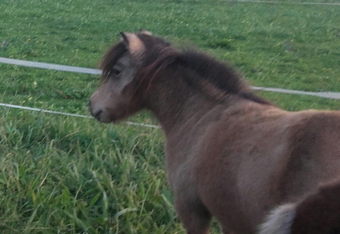 Photo de profil de reev