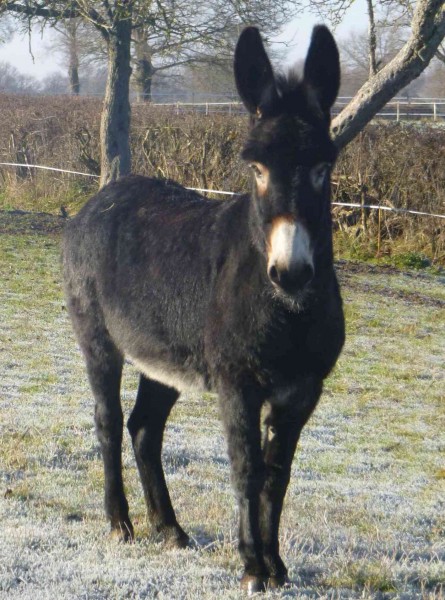 Photo de profil de renee51