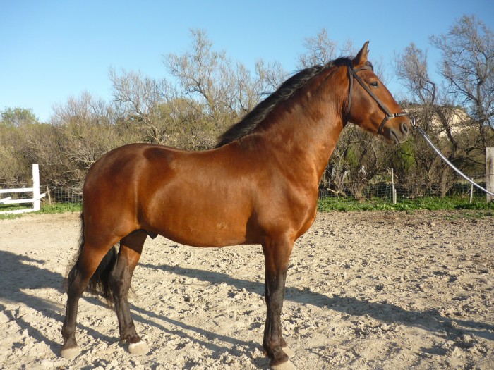 Photo de profil de renemo