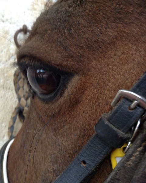 Photo de profil de rmelqt25