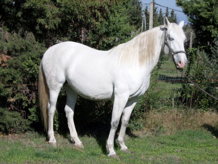 Photo de profil de robert3310