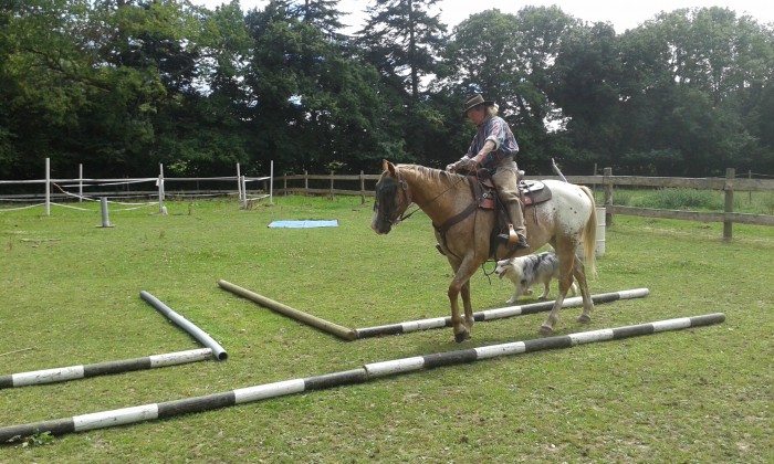 Photo de profil de rodeoranch