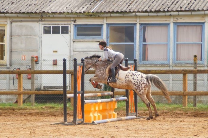 Photo de profil de romane98