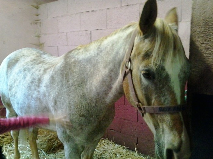 Photo de profil de roxane25