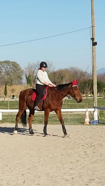Photo de profil de royalmel